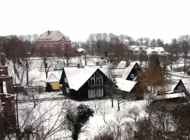 Winter in Templin