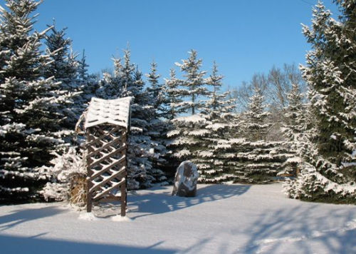 Winter