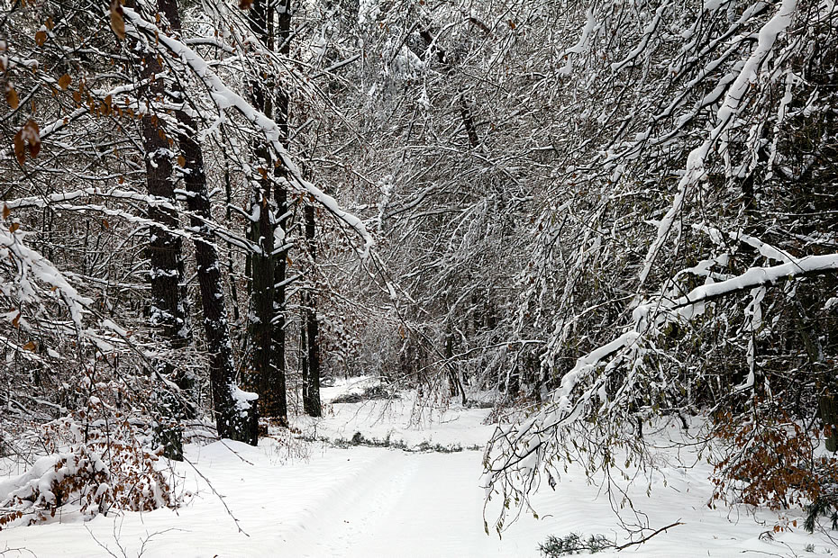 Winterweg ist weg