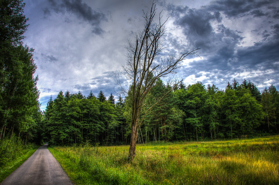 Waldweg - Uckermärkischer Radrundweg - nähe L23