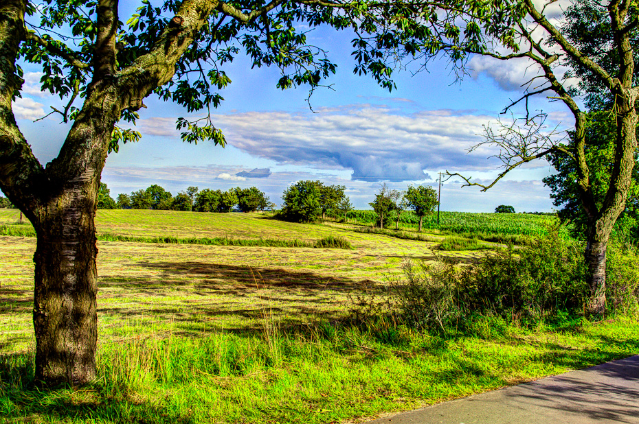 Ausblick am Radweg