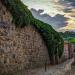 Stadtmauer Templin mit Efeu-Bewuchs