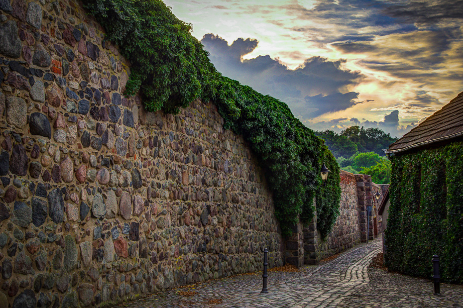 Stadtmauer Templin mit Efeu-Bewuchs