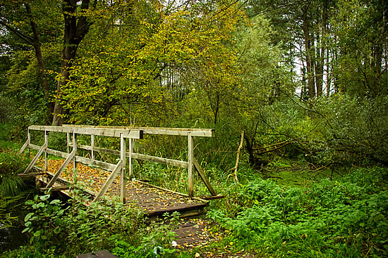 Brücke zur anderen Seite