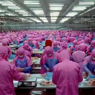 Überproduktion und verbrauch von Nahrung (Kurzfilm)